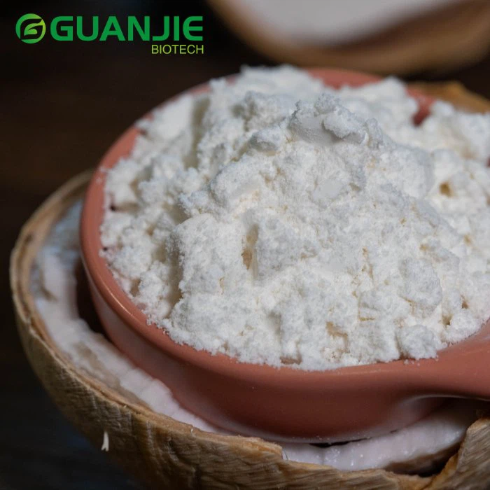 Dried Coconut Powder Dried Coconut Powder