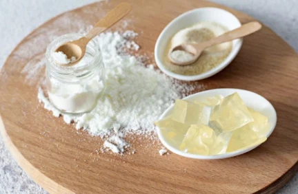Coconut Powder Coconut Powder