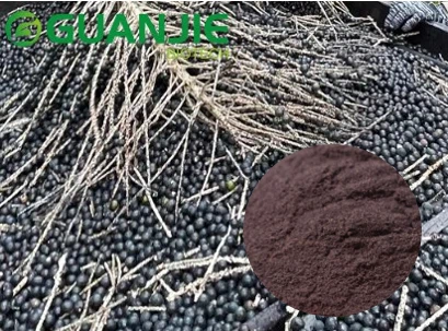 Acai fruit bulk powder Acai fruit bulk powder