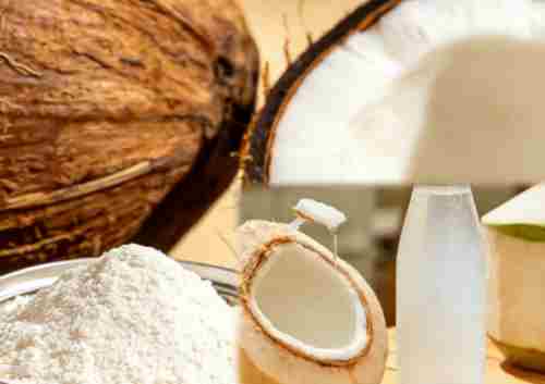 Is Coconut Water Powder The Same As Coconut Water